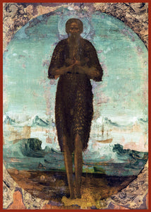 St. Theodore Trichinas "The Hair-shirt Wearer" Orthodox Icon
