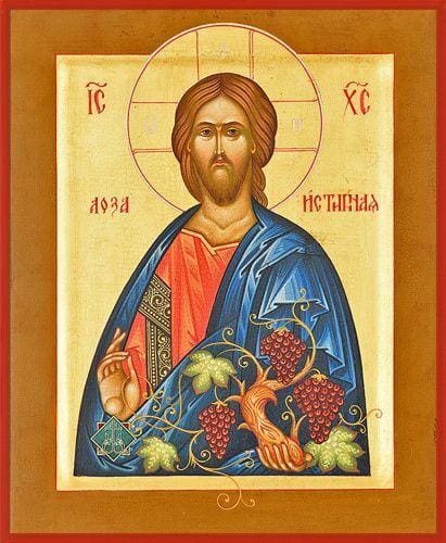 Christ The True Vine - Icons