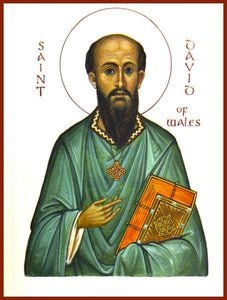 St. David Of Wales - Icons