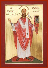 Load image into Gallery viewer, St. David Of Wales - Icons